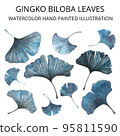 Gingko biloba branche with leaves. Watercolor hand painted illustration isolated on white background. 95811590