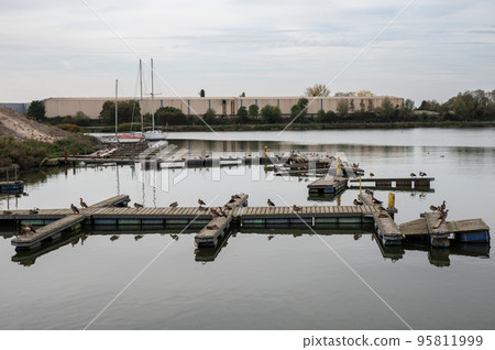 Zemst, Flemish Brabant Region, Belgium,  Wooden jetty with sea birds and industrial activity 95811999