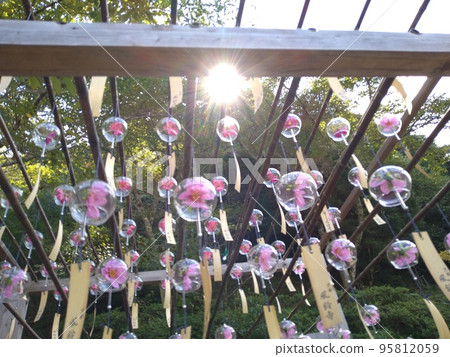 Windbell Festival at Kasushoin Windbell Festival at Kasushoin 95812059