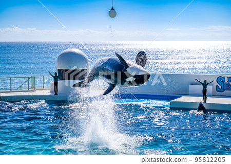 跳躍虎鯨鴨川海洋世界 95812205