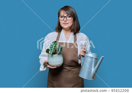 Woman in apron with watering can and potted plant, on blue background 95812208
