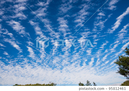 流動在藍天的捲雲 95812461