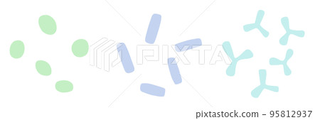 乳球菌、乳桿菌、雙歧桿菌的插圖集 95812937