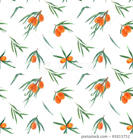 Natural organic sea buckthorn seamless pattern. Hand drawn watercolor on white background. Perfect for invitation, greeting cards and other design. Wild berries branches 95813752
