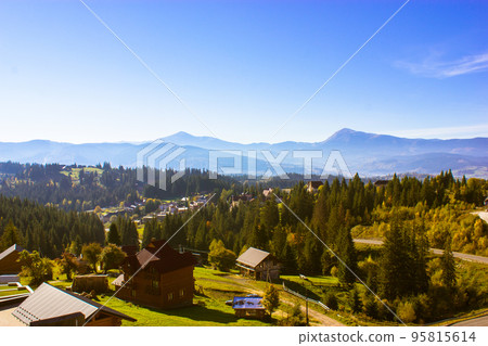 A picturesque mountain landscape. Beautiful scenery. The tops of tall pines, firs, conifers evergreen trees on a blue sky at sunny day. Ukrainian Carpathians mountain system. Meadow hills amazing view 95815614