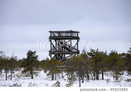 Bog hiking trail in Kemeri National Park 95815995