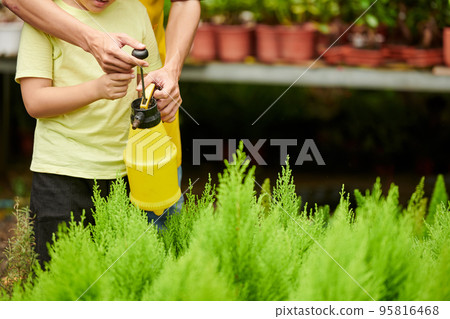 Father showing little son how to use garden sprayer when watering flowers 95816468