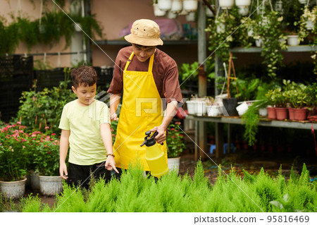 Father showing little son how to spray plants in flower house 95816469