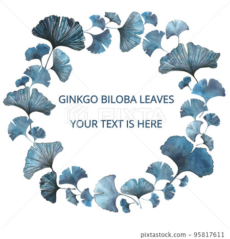 Ginkgo biloba leaves background for text. Watercolor hand painted illustration isolated on white background. 95817611