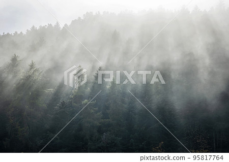 Stiavnica Mountains forest, Slovakia, seasonal natural scene Stiavnica Mountains forest, Slovakia, seasonal natural scene 95817764
