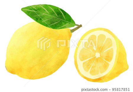 檸檬插畫手繪水彩風格 檸檬插畫手繪水彩風格 95817851