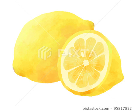 檸檬插畫手繪水彩風格 檸檬插畫手繪水彩風格 95817852