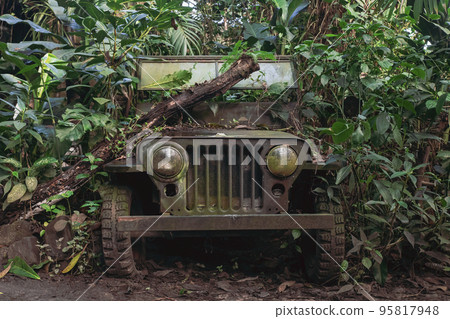 Abandoned old military SUV in the jungle Abandoned old military SUV in the jungle 95817948