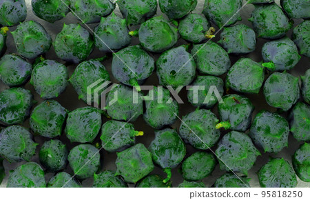 Texture of young cypress cones green color, beautiful pattern, for invitation, notebook covers, phone case, postcards, cards, print, ceramics, background, Abstract Paint Concept Decorative 95818250