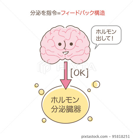 反饋結構 95818251
