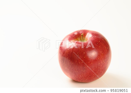 信濃甜【蘋果】【白底】 95819051