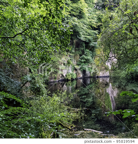 Lake in Kennall Vale Nature Reserve, Ponsanooth, Cornwall, United Kingdom Lake in Kennall Vale Nature Reserve, Ponsanooth, Cornwall, United Kingdom 95819594