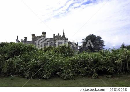Bush with Sheffield Park House in background - Uckfield, United Kingdom Bush with Sheffield Park House in background - Uckfield, United Kingdom 95819938