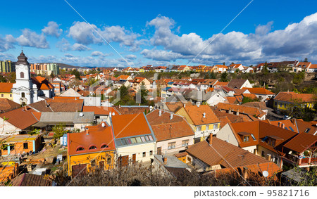 Aerial view of Eger with Servite Church Aerial view of Eger with Servite Church 95821716