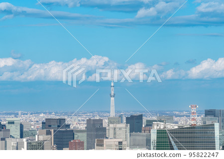 帶有柔和光線的天空樹的城市景觀 95822247