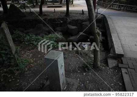Inokashira Park Kandagawa Genryu 95822317