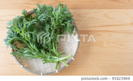 春菊葉 春菊葉 95823969