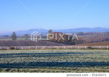 秋日清晨的美瑛風光 秋日清晨的美瑛風光 95826072