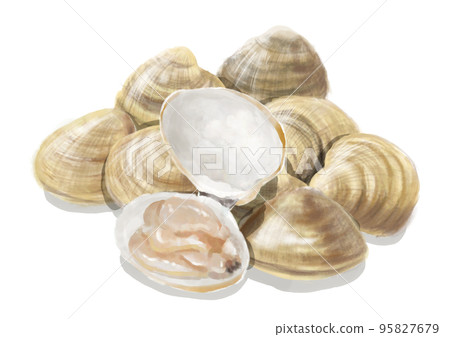 Hand-painted shellfish 01_3 Hand-painted shellfish 01_3 95827679