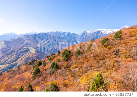 [長野縣]秋天從白馬岩岳避暑山莊看到的北阿爾卑斯山 95827724