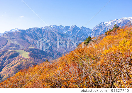 [Nagano Prefecture] Northern Alps seen from Shirouma Iwatake Mountain Resort in autumn 95827740
