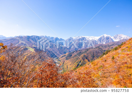 [Nagano Prefecture] Northern Alps seen from Shirouma Iwatake Mountain Resort in autumn 95827758