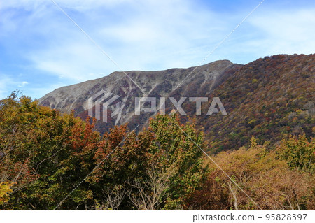 在晴朗的秋日伊吹山頂附近的景色 95828397