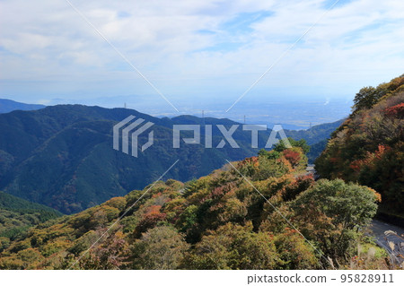 伊吹山車道的秋葉 95828911