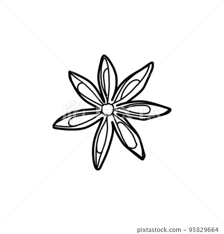 Hand drawn sketch of anis spice. Line drawing. Single element for logo, starionery, label and packaging. Doodle illustration isolated on white. For receipt and cooking design. Hand drawn sketch of anis spice. Line drawing. Single element for logo, starionery, label and packaging. Doodle illustration isolated on white. For receipt and cooking design. 95829664