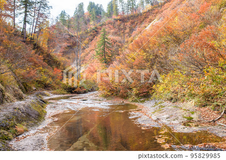 Hiking through the Momodo Gorge with autumn leaves Akita Prefecture Hiking through the Momodo Gorge with autumn leaves Akita Prefecture 95829985