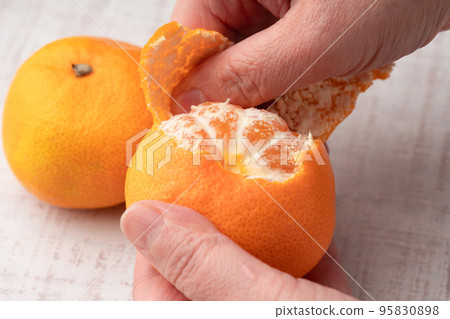 Woman's hand peeling oranges 95830898