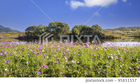 沿咸平川的秋天宇宙 95831557