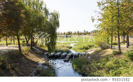 A stepping stone crossing under the drooping weeping willow branches 95831582