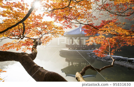 Uhwajeong and autumn leaves reflected in the lake of Naejangsan National Park in Jeongeup 95831630