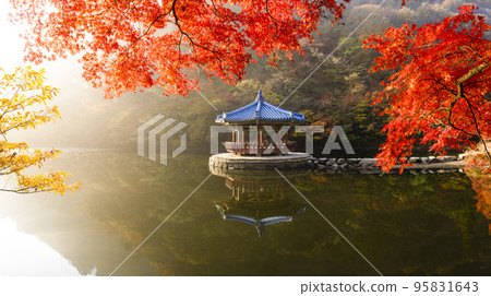 Uhwajeong and autumn leaves reflected in the lake of Naejangsan National Park in Jeongeup 95831643
