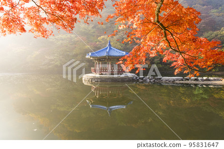貞邑內藏山國立公園湖中倒映的烏華亭和秋葉 貞邑內藏山國立公園湖中倒映的烏華亭和秋葉 95831647