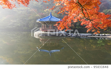 貞邑內藏山國立公園湖中倒映的烏華亭和秋葉 95831648
