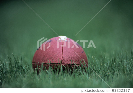 Rugby ball on a grass Rugby ball on a grass 95832357