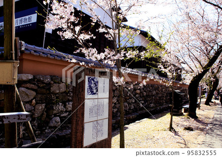 櫻花盛開、綠意盎然的築前小京都“秋月”街景 櫻花盛開、綠意盎然的築前小京都“秋月”街景 95832555