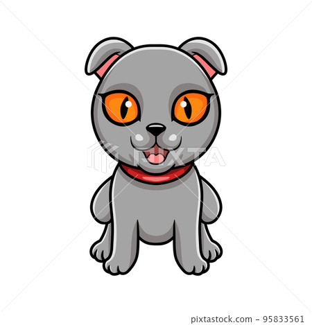 Cute scottish fold cat cartoon 95833561