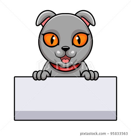 Cute scottish fold cat cartoon holding blank sign 95833563