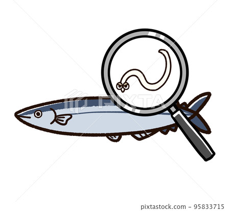 異尖線蟲寄生的太平洋秋刀魚 異尖線蟲寄生的太平洋秋刀魚 95833715