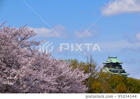 Spring Osaka Castle Park 95834144