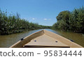nose of a fast motor boat sails along a narrow river with tall grass on the shore in Astrakhan in summer 95834444