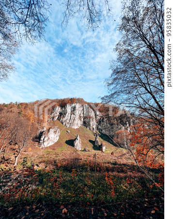 Autumnal forest and white rock, Poland , Ojcow, National Park. 95835032